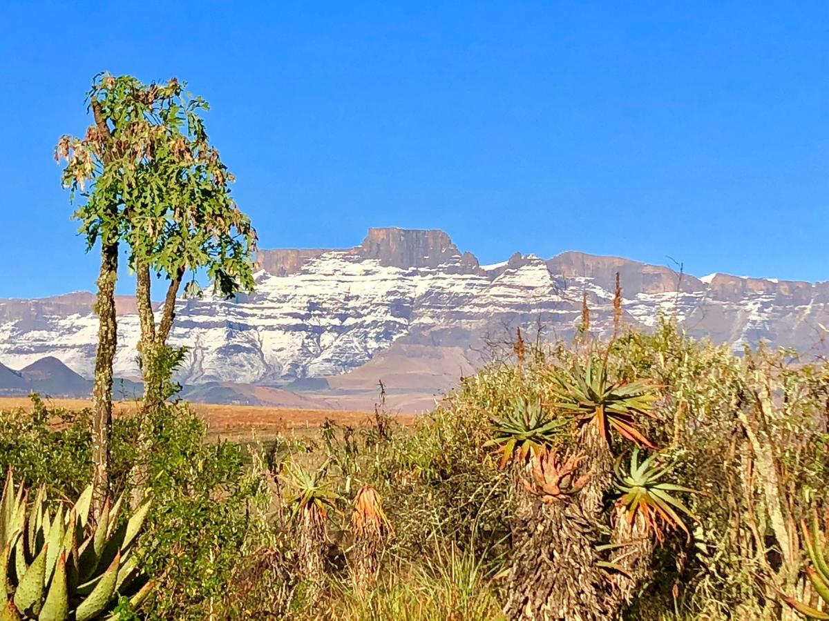 Drakensberg Inkosana Lodge Champagne Valley Exterior photo